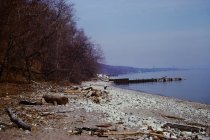 View north along the beach